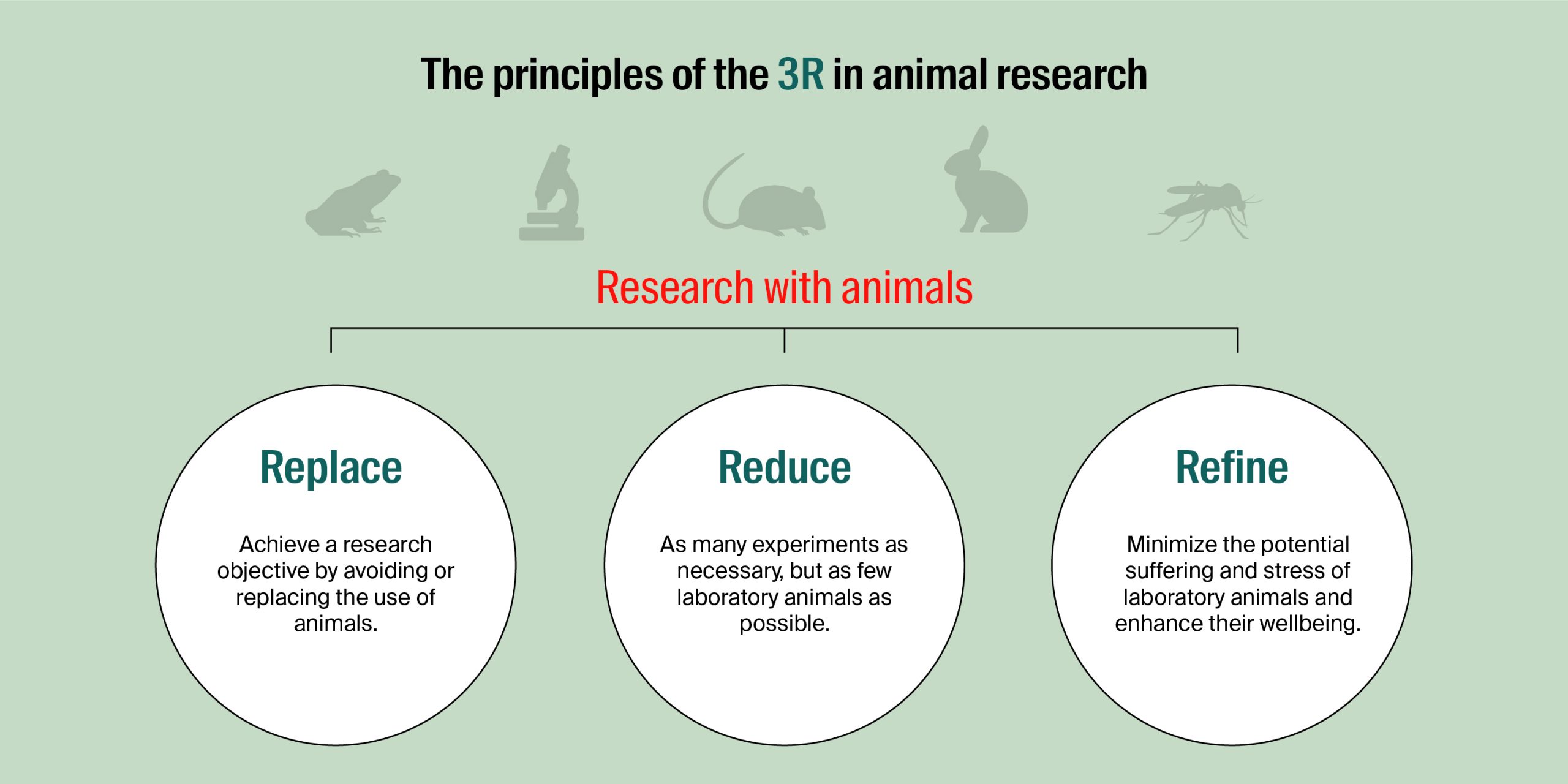 Research with animals, a necessity for scientific progress | EPFL | Les  dossiers de l'actu